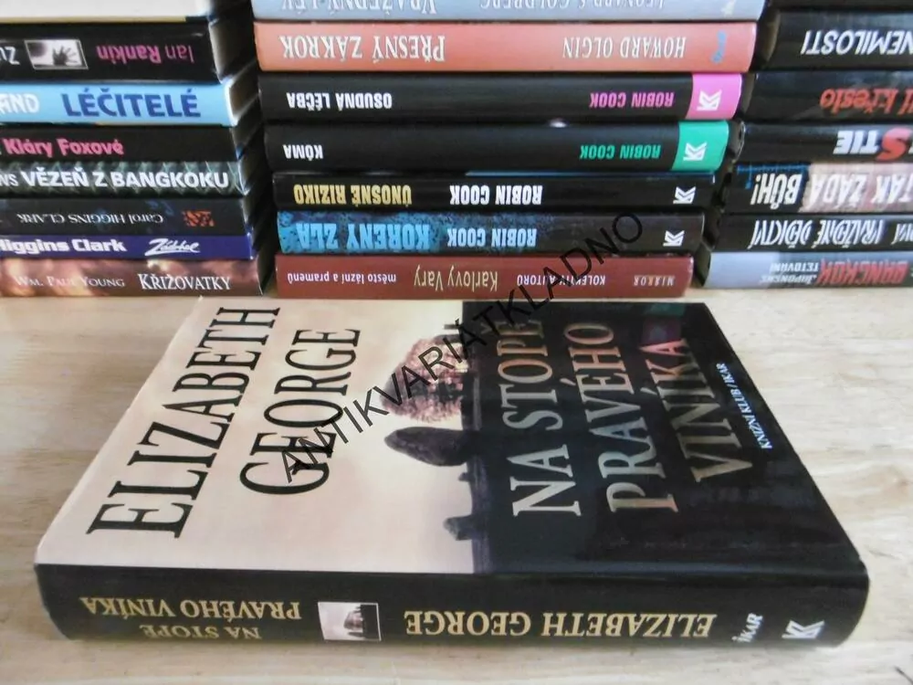 NA STOPĚ PRAVÉHO VINÍKA, ELIZABETH GEORGE, **an