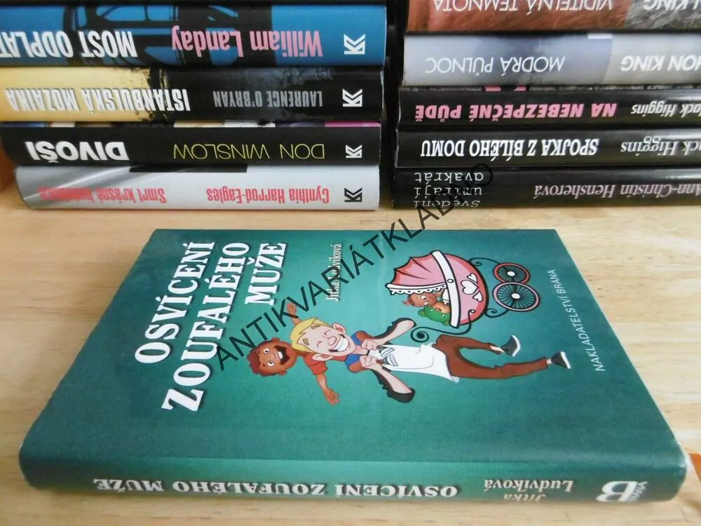 OSVÍCENÍ ZOUFALÉHO MUŽE, JITKA LUDVÍKOVÁ, **an