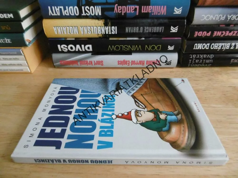 JEDNOU NOHOU V BLÁZINCI, SIMONA MONYOVÁ, **an