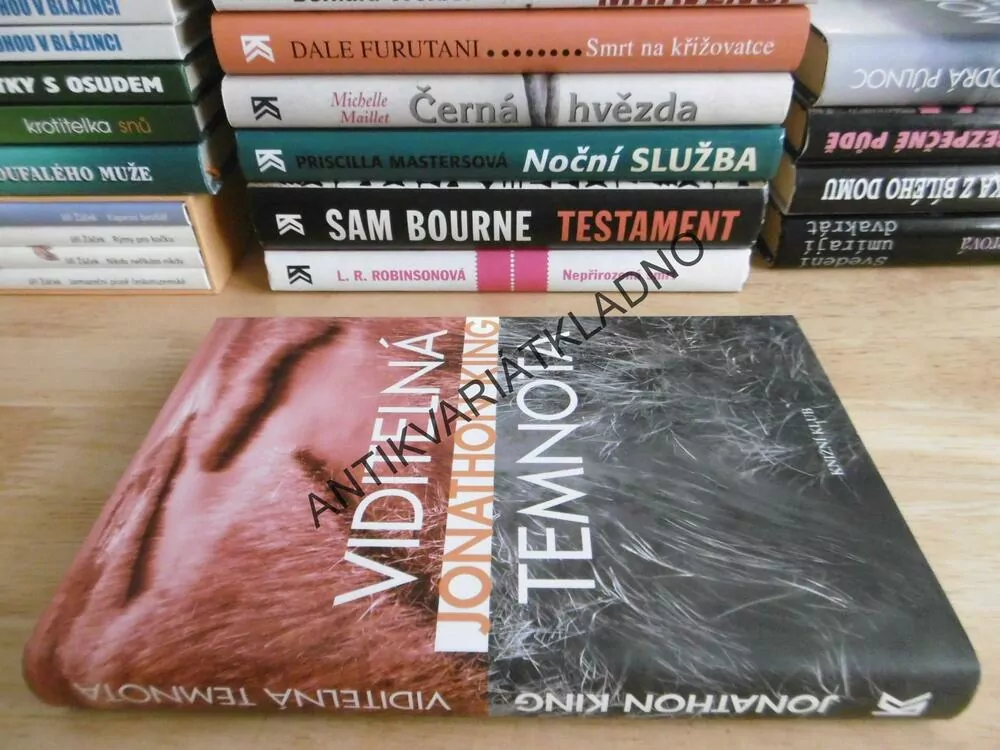 VIDITELNÁ TEMNOTA, JONATHON KING, **an