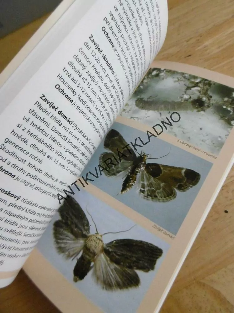 ŠKODLIVÍ A OBTÍŽNÍ ŽIVOČICHOVÉ KOLEM NÁS, JANA SEDLÁČKOVÁ, **an