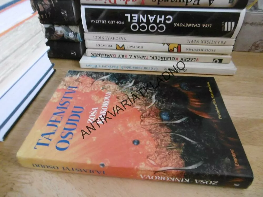TAJEMSTVÍ OSUDU, ZOŠA KINKOROVÁ, **an