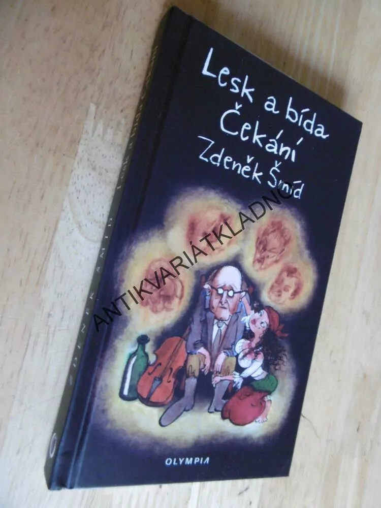 LESK A BÍDA ČEKÁNÍ, ZDENĚK ŠMÍD, 2008, **an
