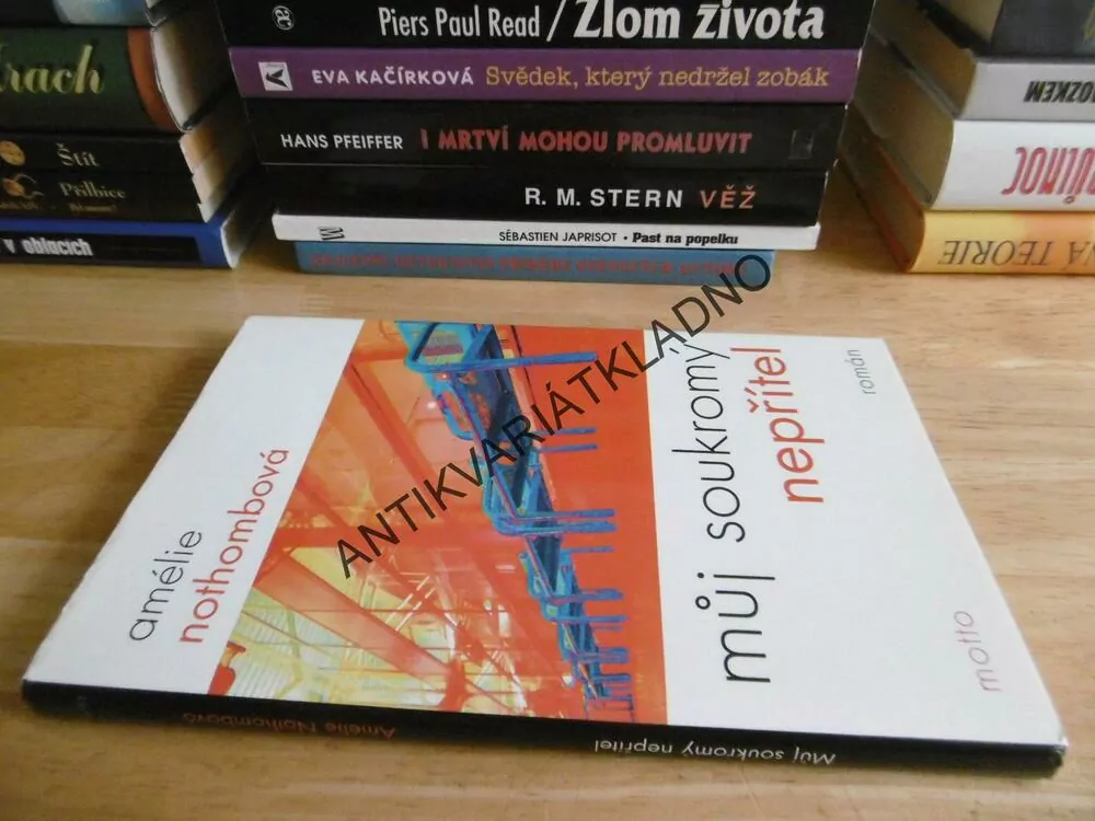 MŮJ SOUKROMÝ NEPŘÍTEL, AMÉLIE NOTHOMBOVÁ, **an
