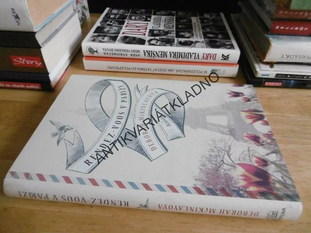 RENDEZ-VOUS V PAŘÍŽI, DEBORAH MCKINLAYOVÁ, **an