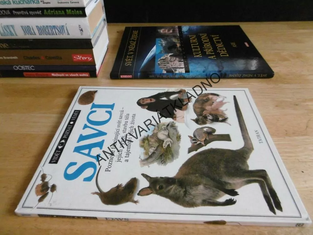 SAVCI, **an