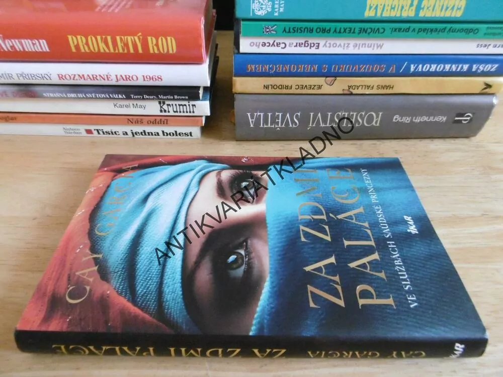 ZA ZDMI PALÁCE, CAY GARCIA, **an