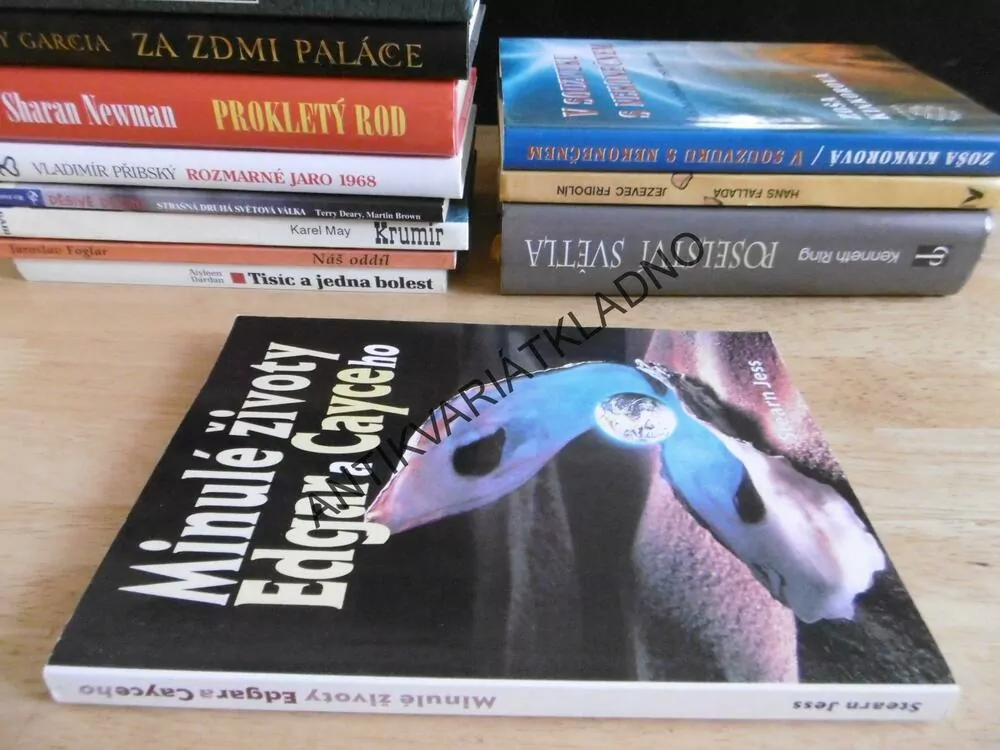 MINULÉ ŽIVOTY EDGARA CAYCEHO, STEARN JESS, **an