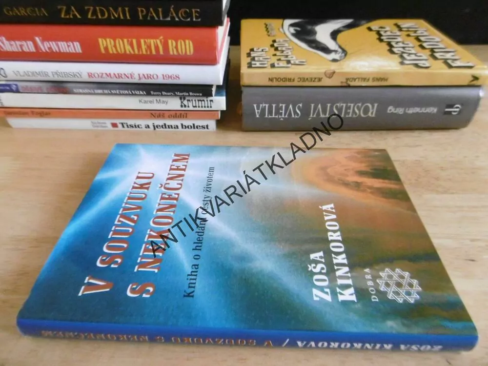 V SOUZVUKU S NEKONEČNEM, ZOŠA KINKOROVÁ, **an
