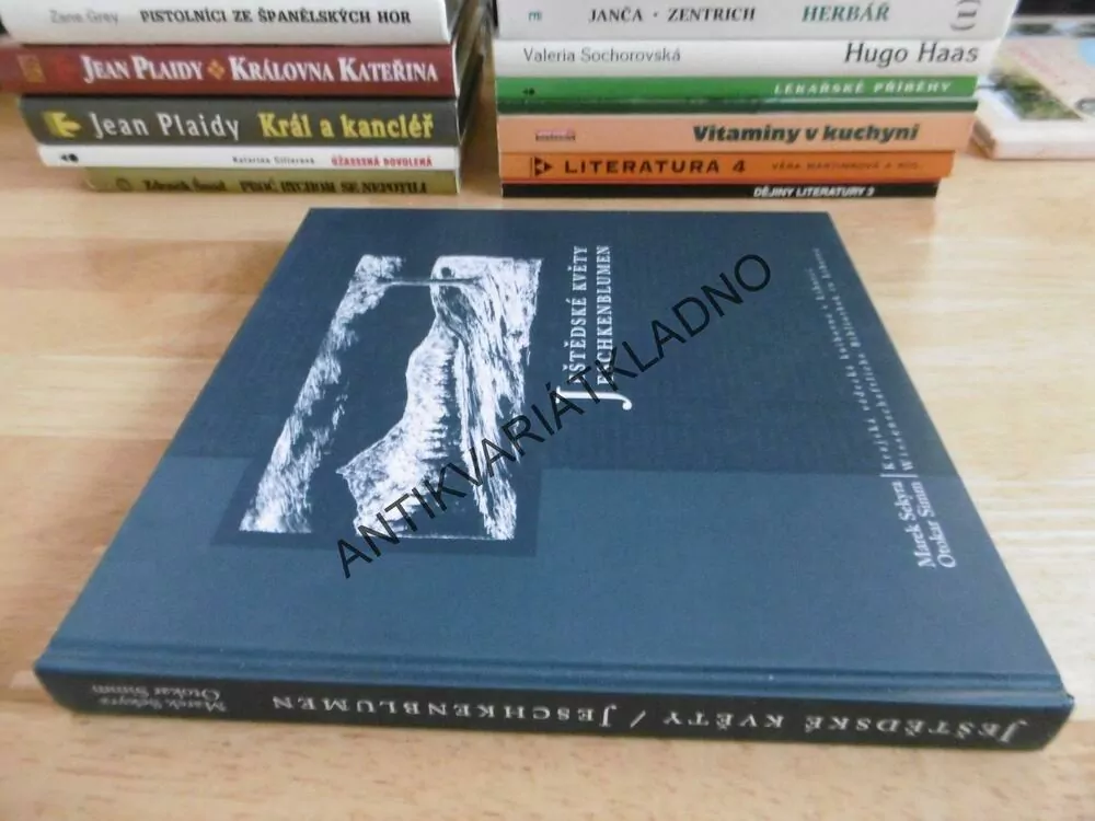 JEŠTĚDSKÉ KVĚTY, MAREK SEKYRA, **an