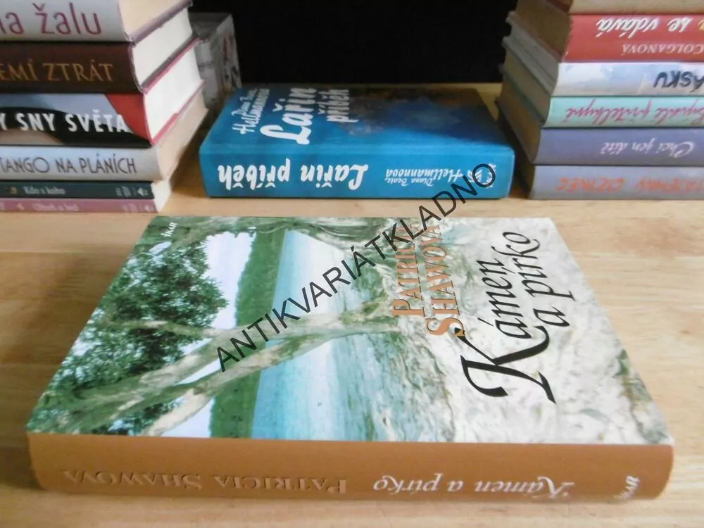 KÁMEN A PÍRKO, PATRICIA SHAWOVÁ, **an