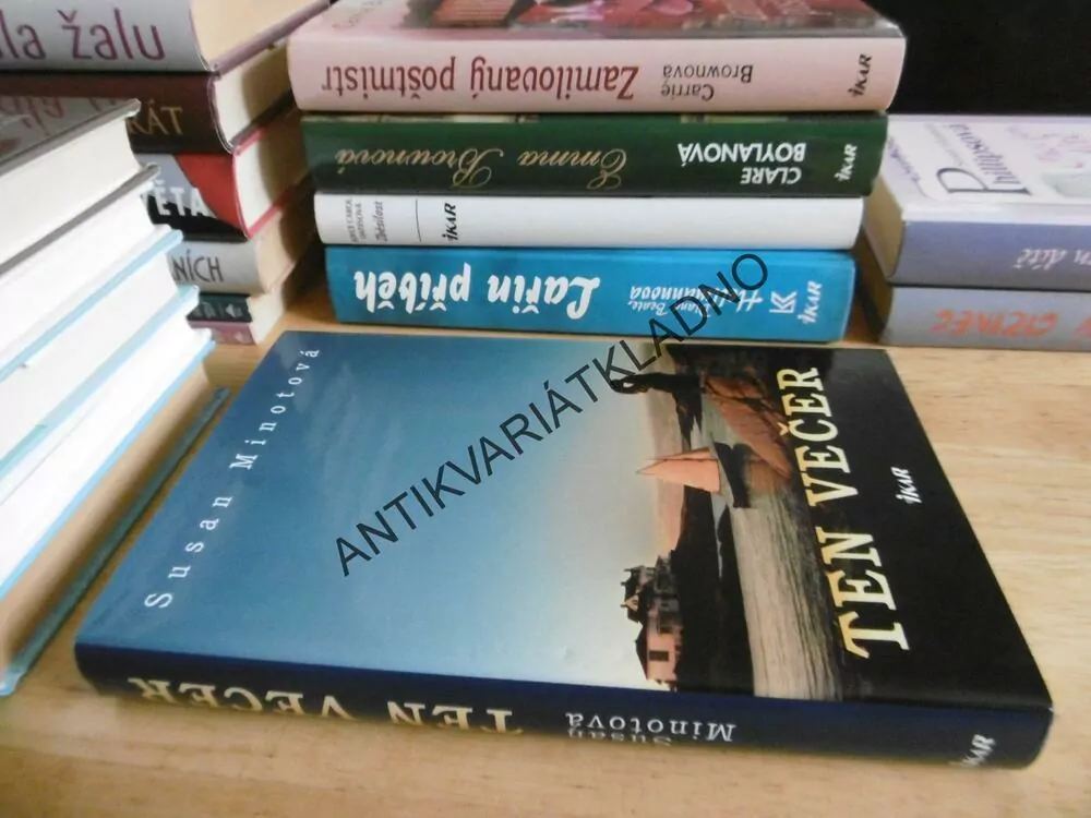 TEN VEČER, SUSAN MINOTOVÁ, **an