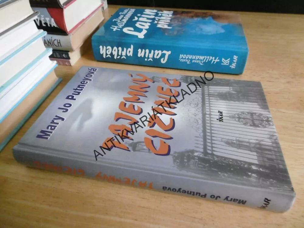 TAJEMNÝ CIZINEC, MARY JO PUTNEYOVÁ, **an