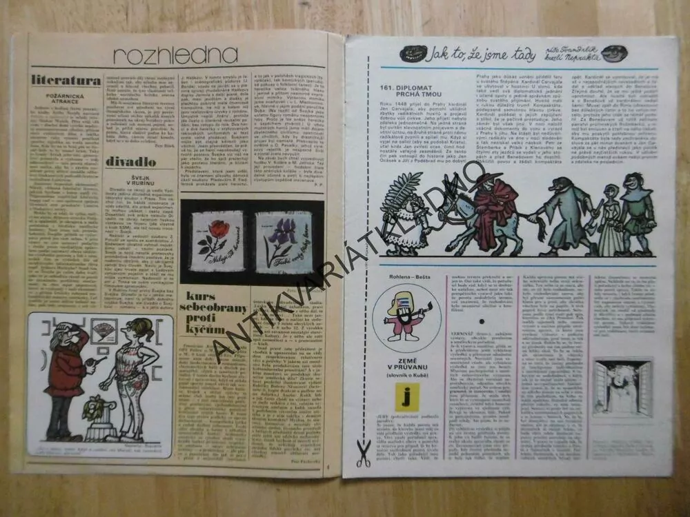 DIKOBRAZ 21/1980