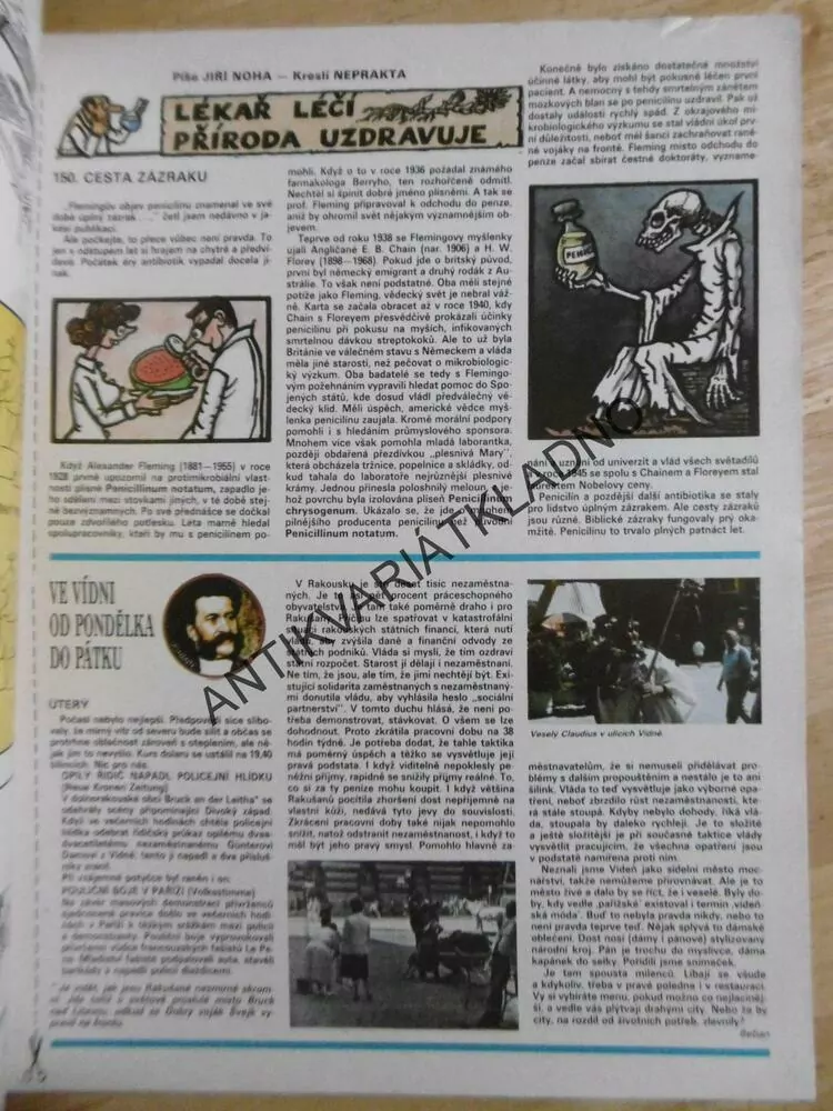 DIKOBRAZ 48/1984