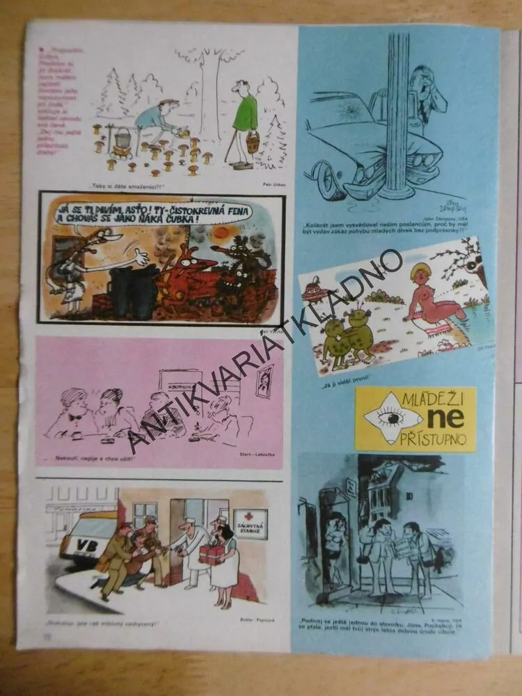 DIKOBRAZ 35/1988