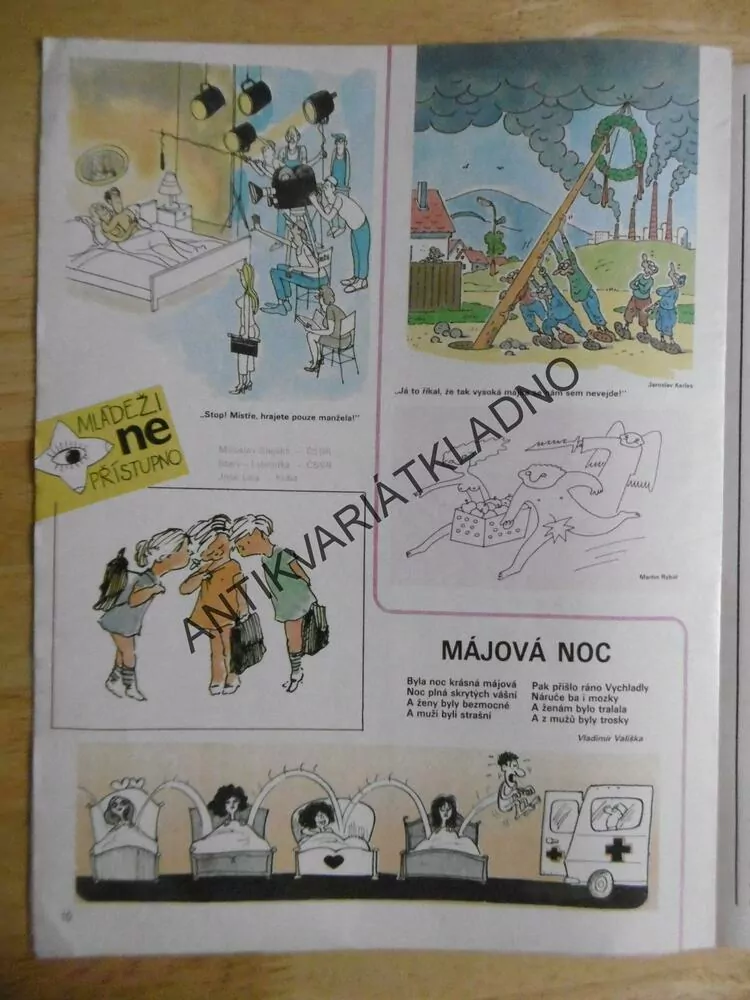DIKOBRAZ 17/1989