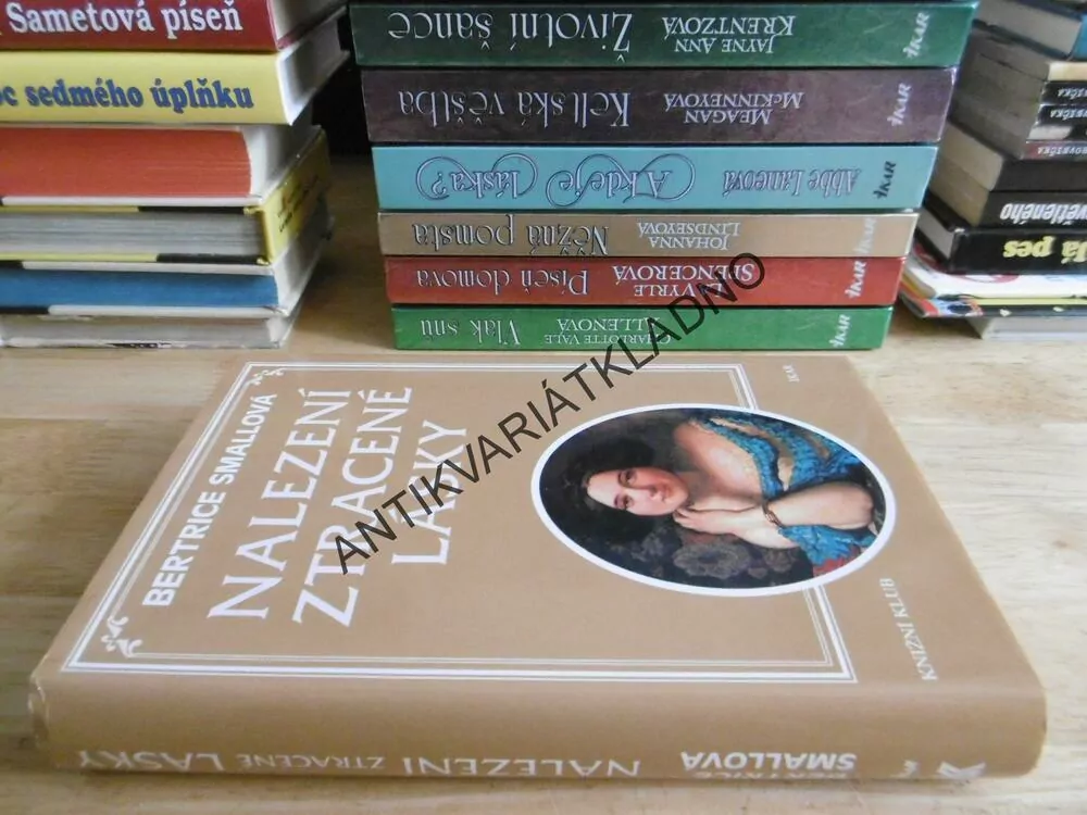 NALEZENÍ ZTRACENÉ LÁSKY, BERTRICE SMALLOVÁ, **an