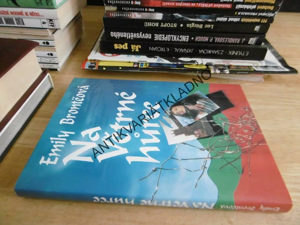 NA VĚTRNÉ HŮRCE, EMILY BRONTEOVÁ, **an