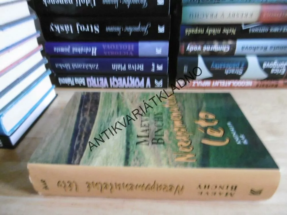 NEZAPOMENUTELNÉ LÉTO, MAEVE BINCHY, **an