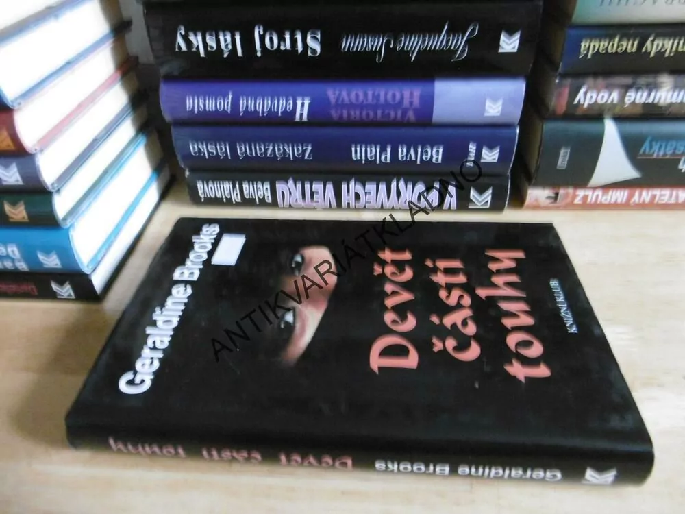 DEVĚT ČÁSTÍ TOUHY, GERALDINE BROOKS, **an
