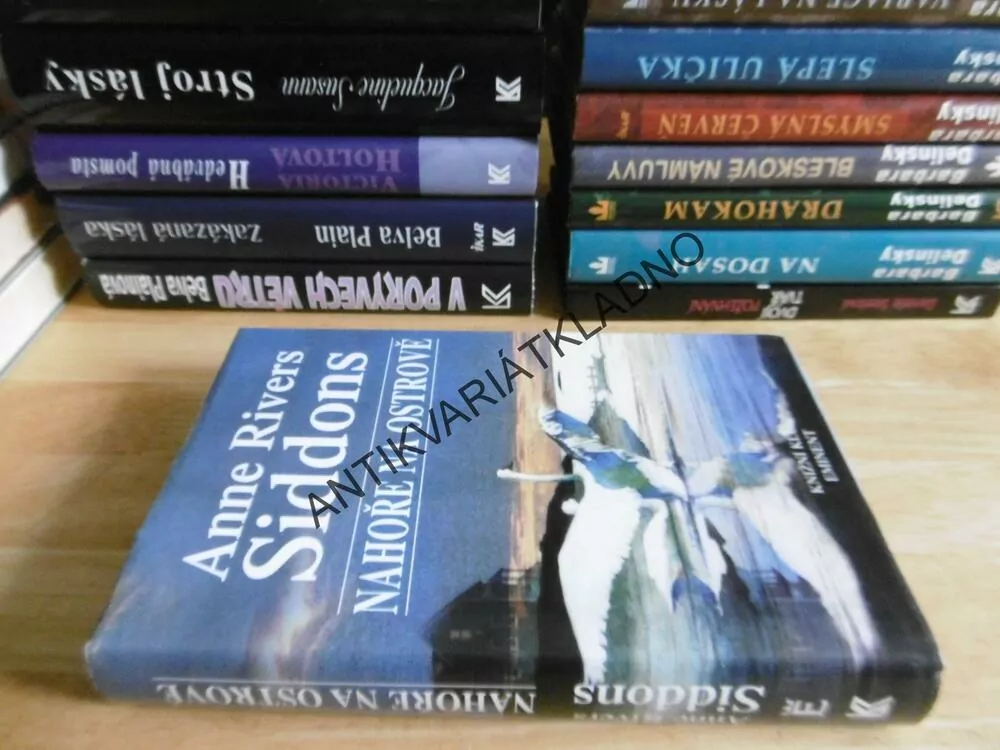 NAHOŘE NA OSTROVĚ, ANNE RIVERS SIDDONS, **an