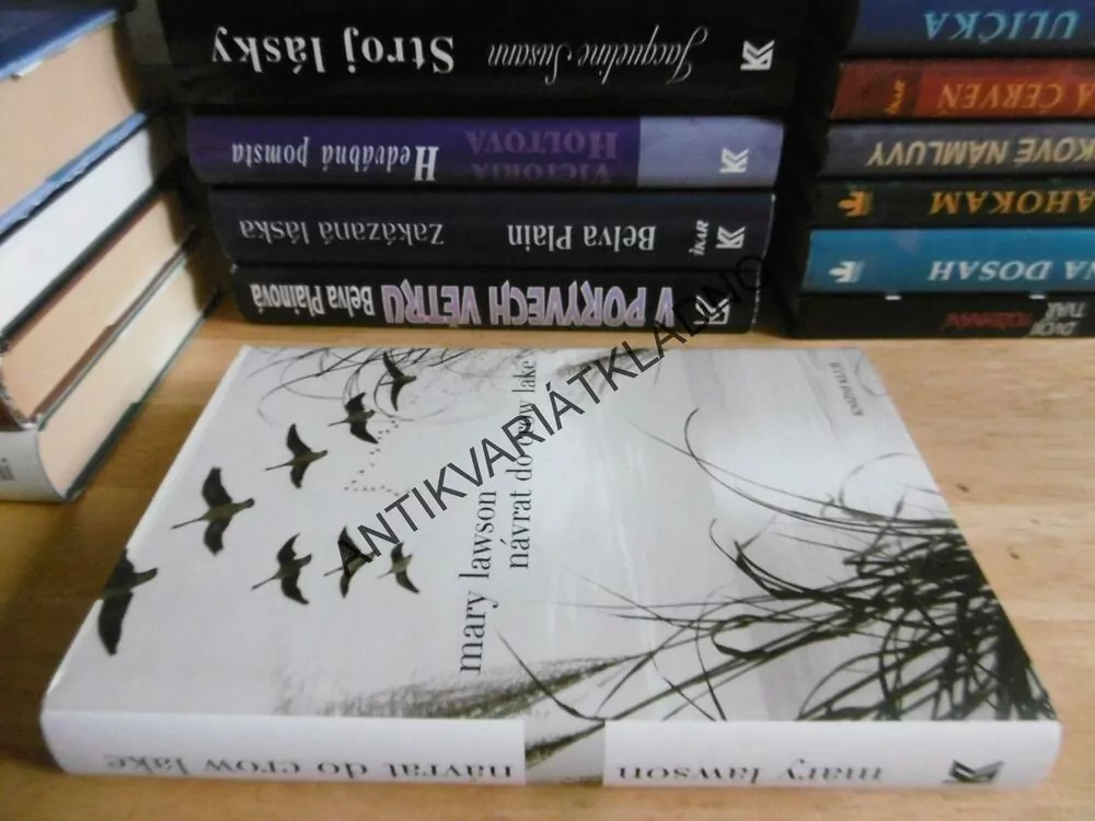 NÁVRAT DO CROW LAKE, MARY LAWSON, **an