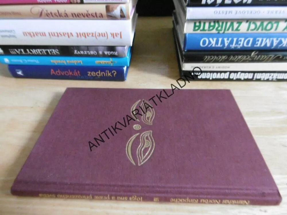 JÓGA SNU A PRAXE PŘIROZENÉHO SVĚTLA, N.N.RINPOČHE, **an