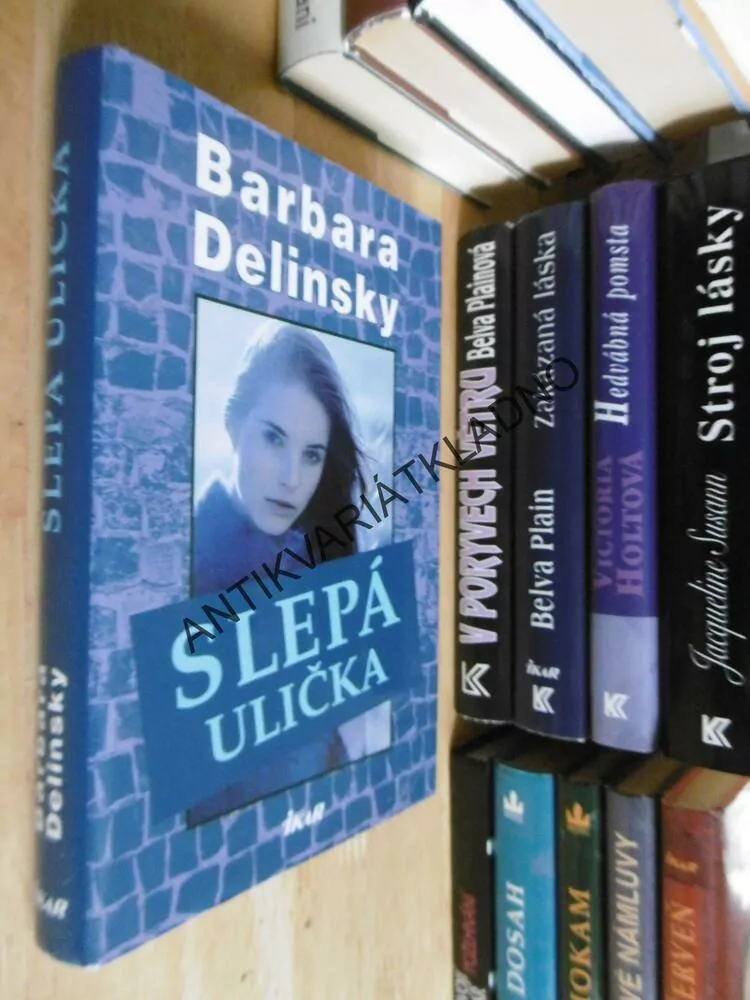SLEPÁ ULIČKA, BARBARA DELINSKY, **an