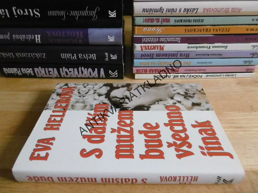 S DALŠÍM MUŽEM BUDE VŠECHNO JINAK, EVA HELLEROVÁ, **an