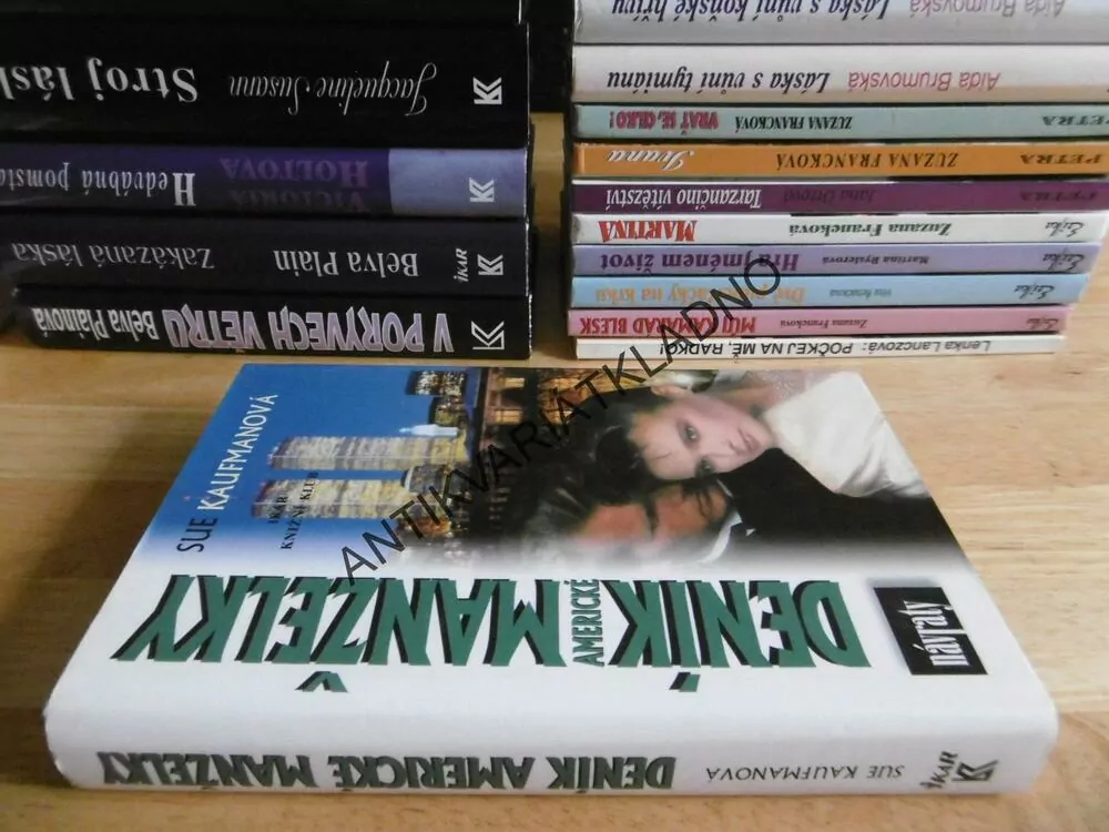 DENÍK AMERICKÉ MANŽELKY, SUE KAUFMANOVÁ, **an