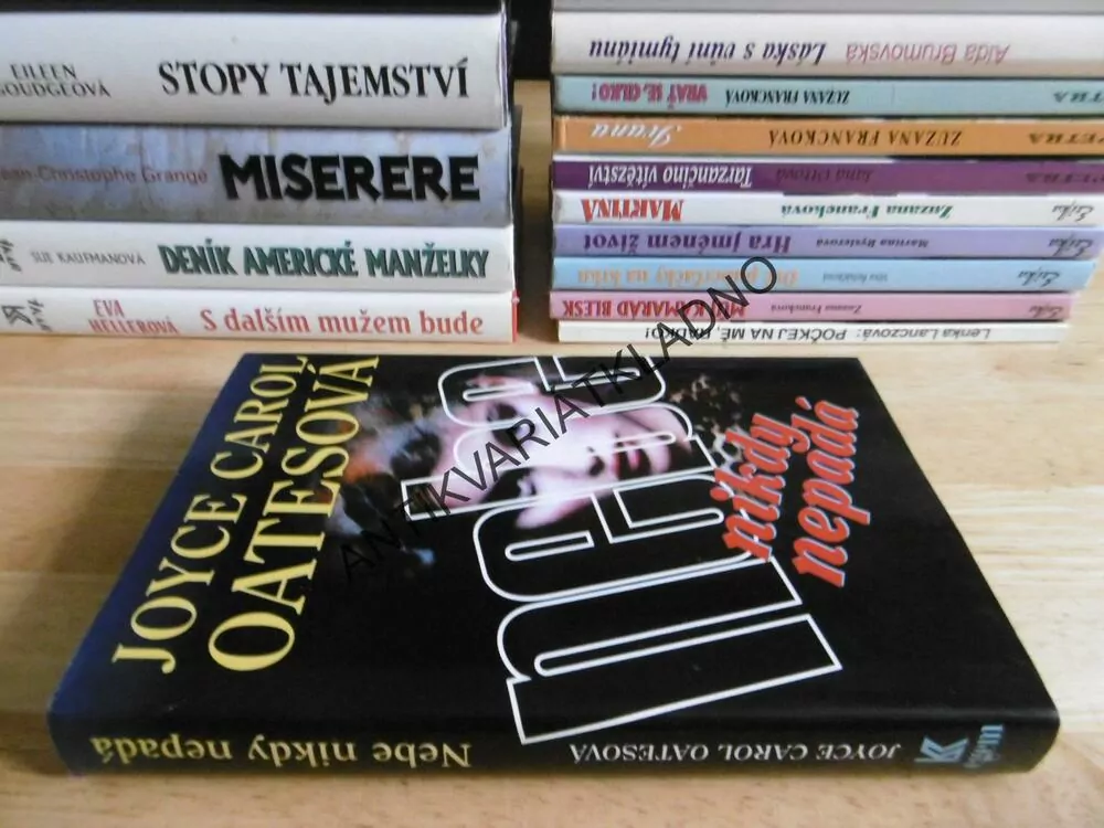 NEBE NIKDY NEPADÁ, JOYCE CAROL OATESOVÁ, **an