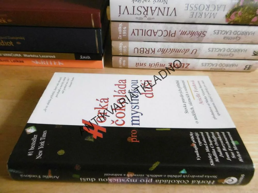 HORKÁ ČOKOLÁDA PRO MYSTICKOU DUŠI, ARIELLE FORDOVÁ, **an