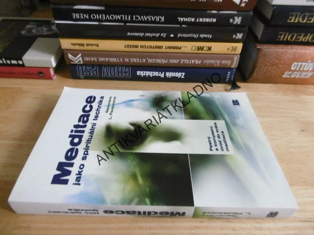 MEDITACE JAKO SPIRITUÁLNÍ TECHNIKA, GENEVIEVE L. PAULSONOVÁ, **an