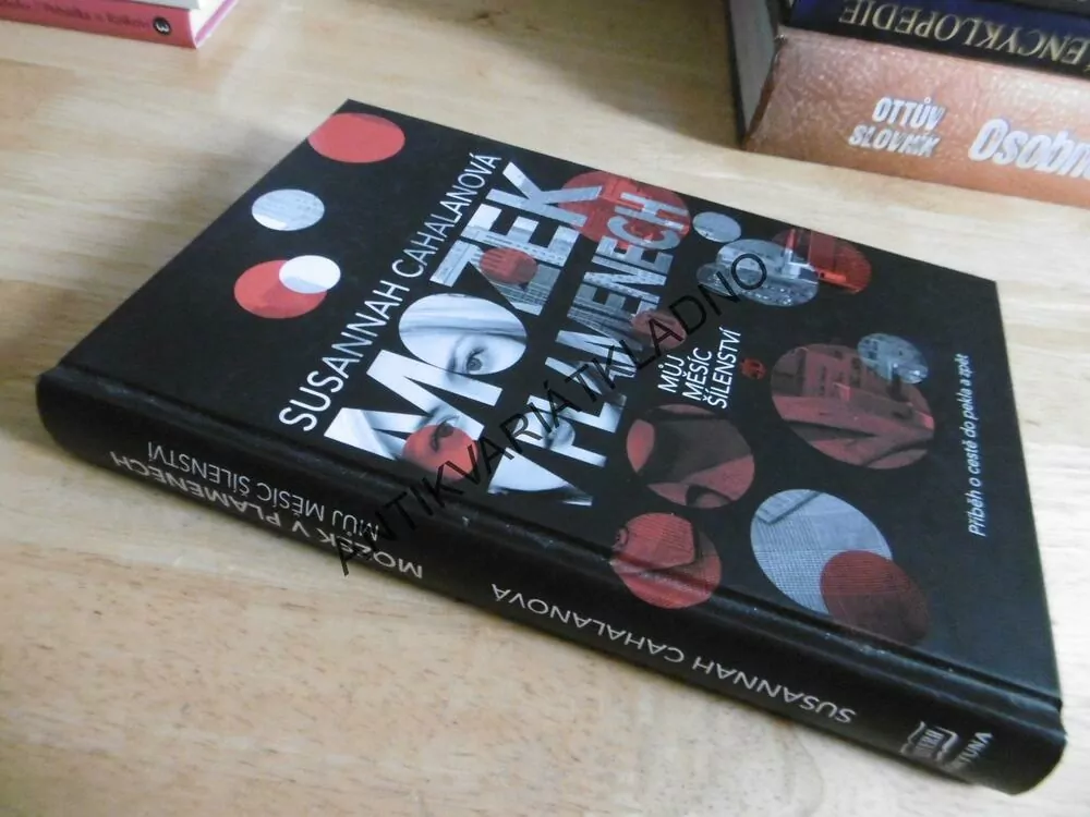 MOZEK V PLAMENECH, SUSANNAH CAHALANOVÁ, **an