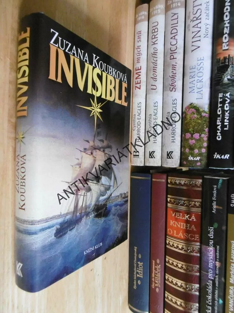 INVISIBLE, ZUZANA KOUBKOVÁ, **an