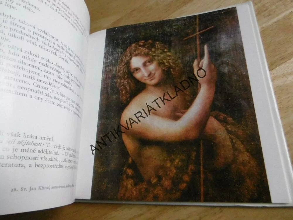 MALÁ GALERIE - LEONARDO DA VINCI, VÝTVARNÉ UMĚNÍ, **an