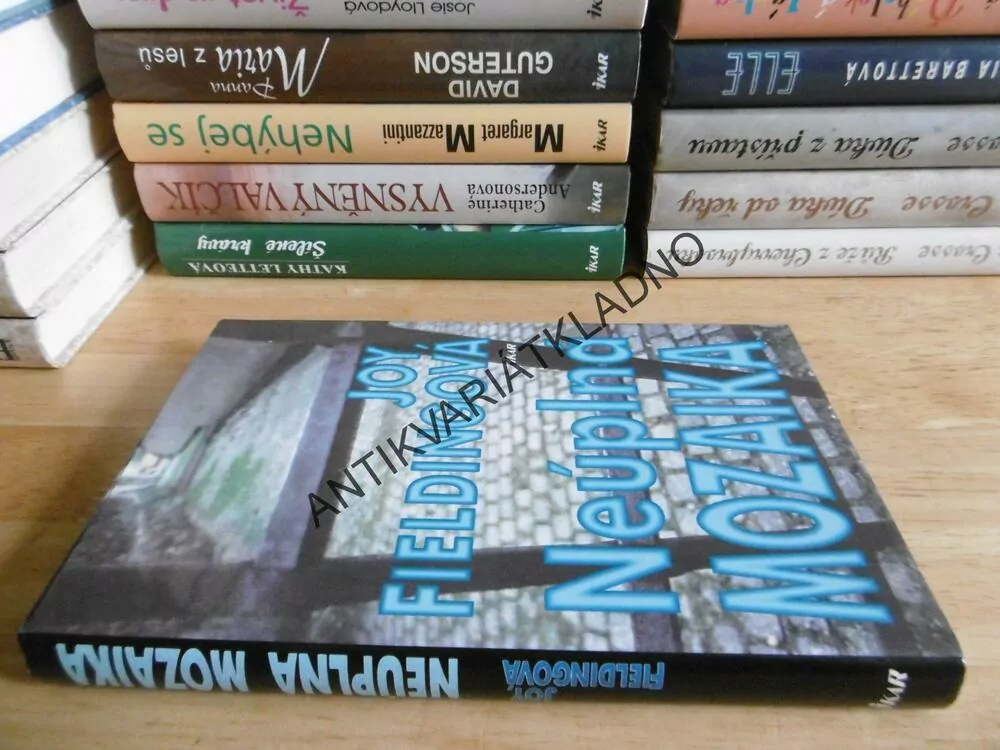 NEÚPLNÁ MOZAIKA, JOY FIELDINGOVÁ, **an