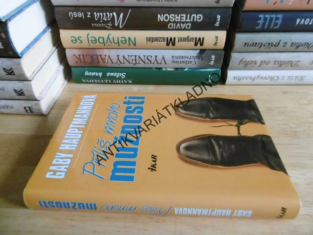 PŘÍLIŠ MNOHO MUŽNOSTI, GABY HAUPTMANNOVÁ, **an