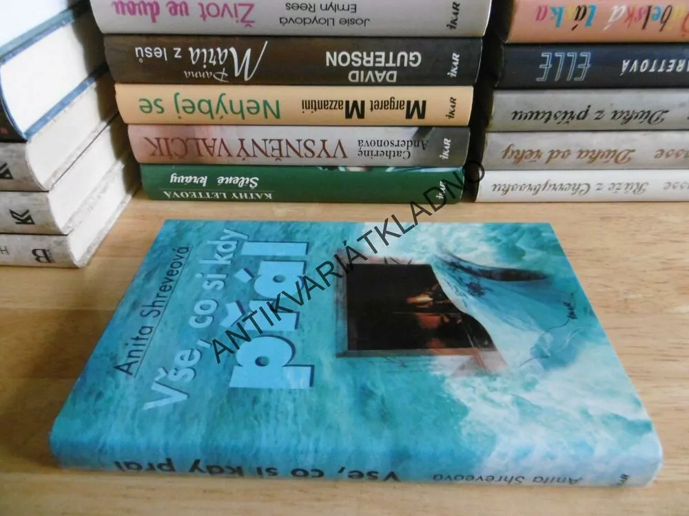 VŠE, CO SI KDY PŘÁL, ANITA SHREVEOVÁ, **an