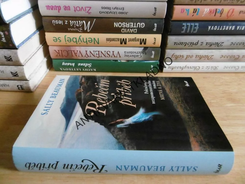 REBEČIN PŘÍBĚH, SALLY BEAUMAN, **an