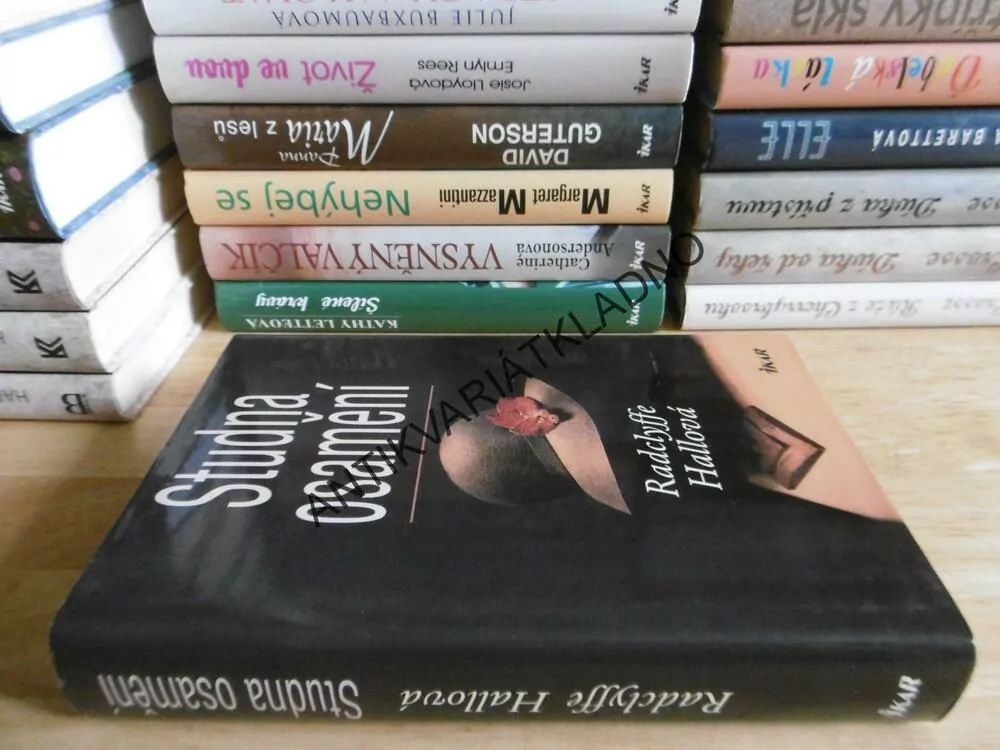 STUDNA OSAMĚNÍ, RADCLYFFE HALLOVÁ, **an