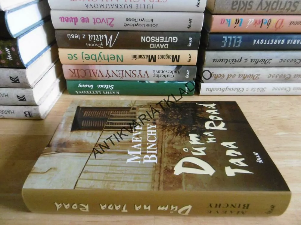 DŮM NA TARA ROAD, MAEVE BINCHY, **an