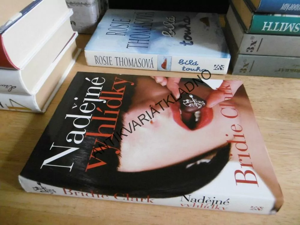 NADĚJNÉ VYHLÍDKY, BRIDIE CLARK, **an