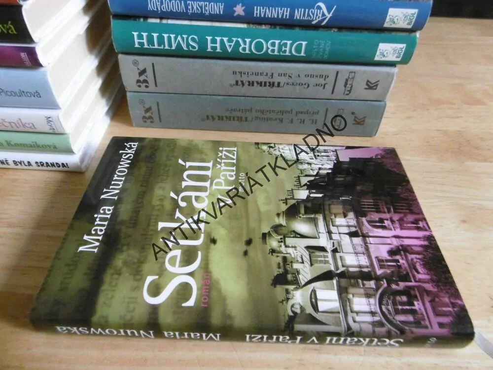 SETKÁVÁNÍ V PAŘÍŽI, MARIA NUROWSKÁ, **an