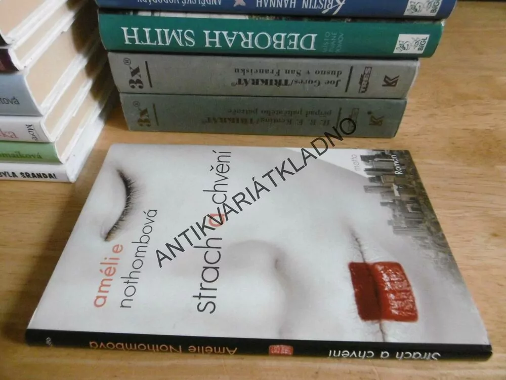 STRACH A CHVĚNÍ, AMÉLIE NOTHOMBOVÁ, **an
