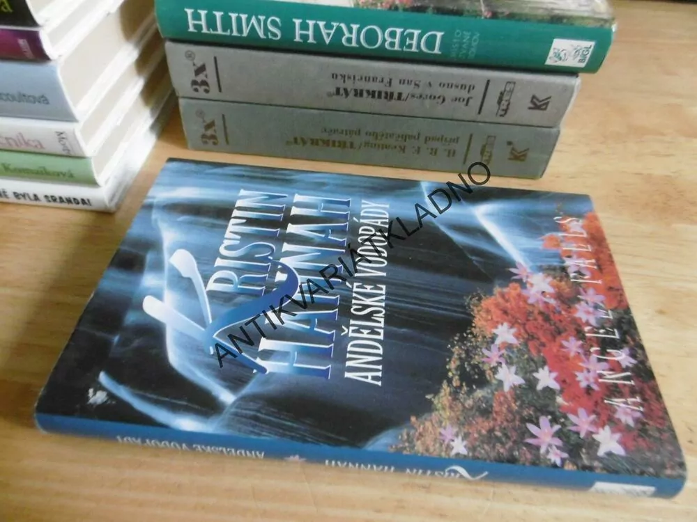 ANDĚLSKÉ VODOPÁDY, KRISTIN HANNAH, **an