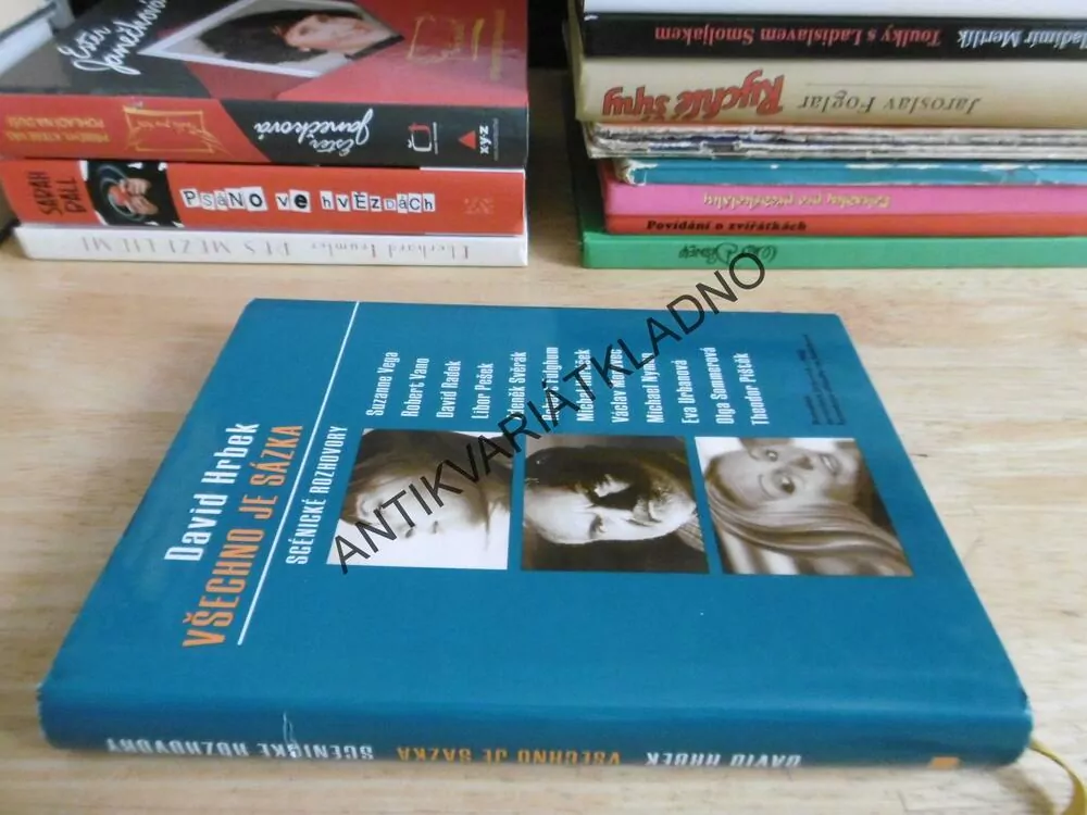 VŠECHNO JE SÁZKA, DAVID HRBEK, **an