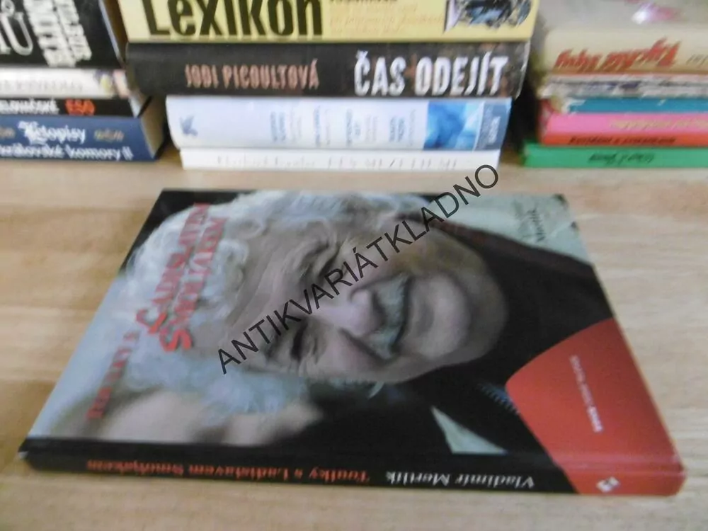 TOULKY S LADISLAVEM SMOLJAKEM, VLADIMÍR MERTLÍK, **an