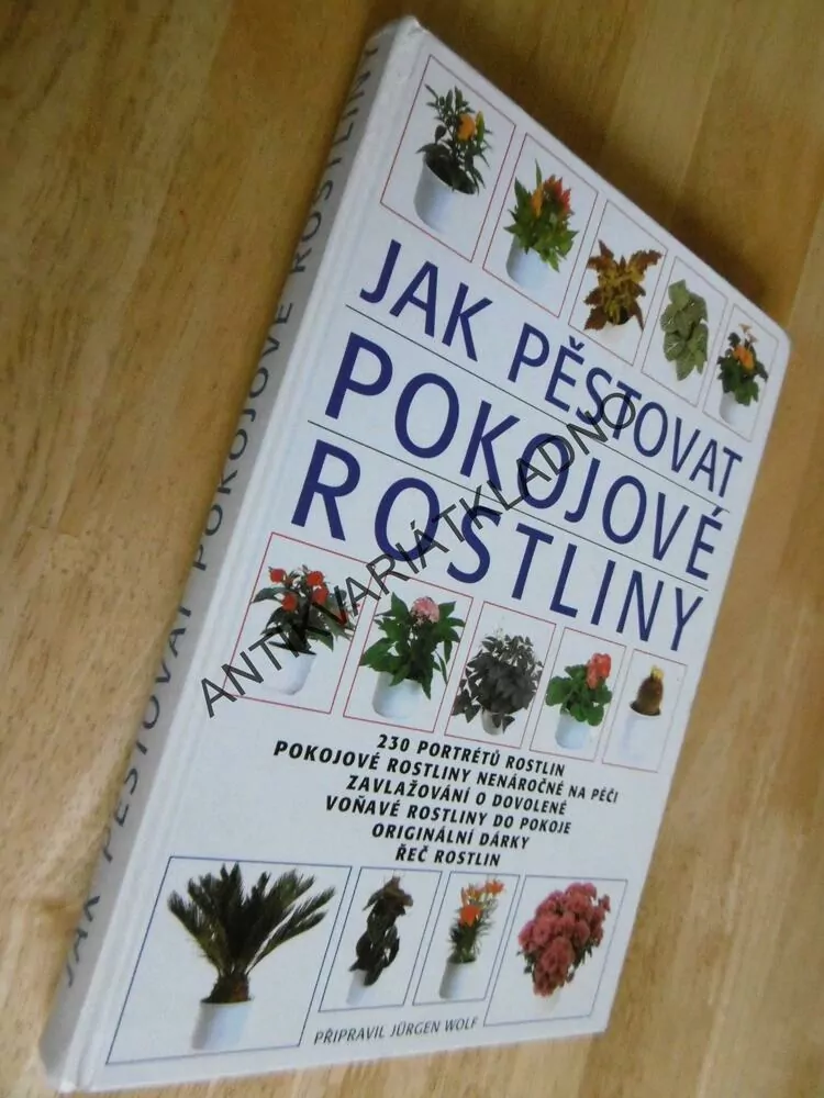 JAK PĚSTOVAT POKOJOVÉ ROSTLINY, JÜRGEN WOLF, KVĚTINY,
